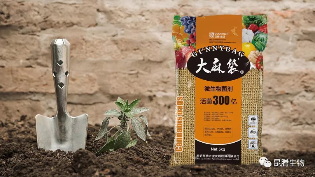 复合微生物菌肥厂家直销 复合微生物菌肥厂家直销